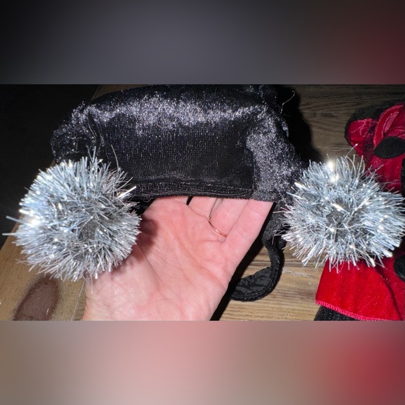 Lady bug Dog costume- size M - Picture 11 of 16